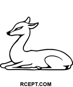 Niedliches Reh auf dem Boden Ausmalbild