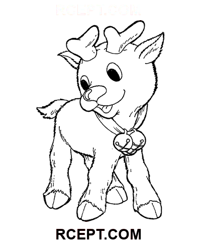 Kleines Reh mit Glöckchen Ausmalbild