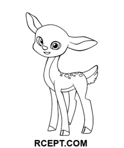 Wie man süße Hirsche zeichnet Ausmalbild