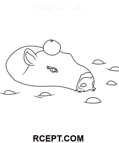 Handgezeichnetes Capybara Ausmalbild