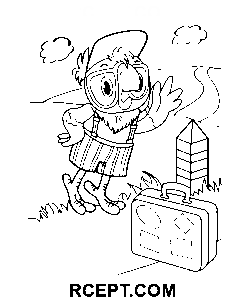 Papagei Cartoon Zeichnung Ausmalbild
