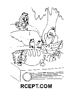 Papagei Cartoon Strichzeichnungen Ausmalbild