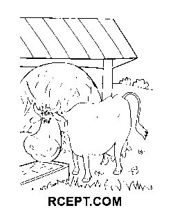 Rückkehr der verlorenen Papageienzeichnung Ausmalbild
