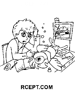 Rückkehr des verlorenen Papageis Strichzeichnung Ausmalbild