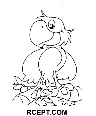 Cartoon Papagei für Jungen Ausmalbild