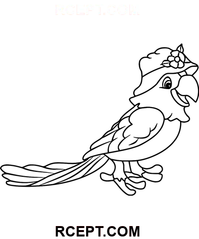 Cartoon Papagei Strichzeichnung Ausmalbild