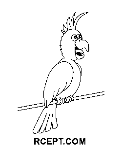 Papagei für spirituelle Ruhe Ausmalbild