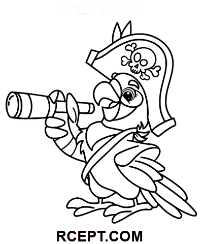 Piratenpapagei mit Fernglas Ausmalbild