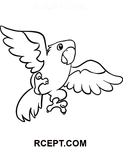 Der Papagei fliegt Ausmalbild