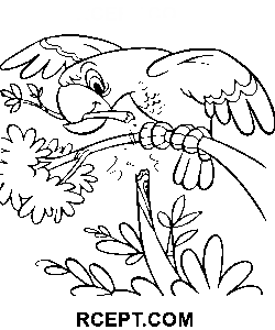 Der Papagei biss in einen Ast Ausmalbild