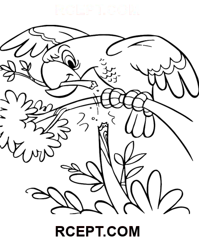 Der Papagei biss in einen Ast Ausmalbild