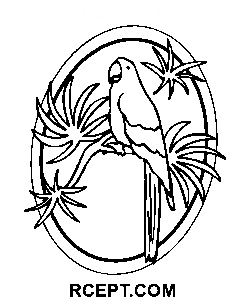 Papagei für künstlerische Entspannung Ausmalbild