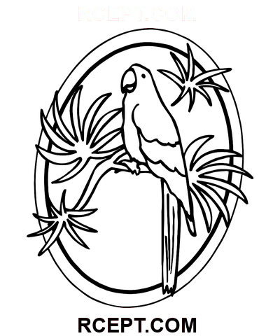 Papagei für künstlerische Entspannung Ausmalbild