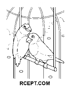 Papagei für entspannte Nachmittage Ausmalbild