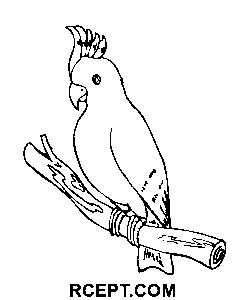 Papageien-Strichzeichnungen Ausmalbild