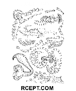 Psychedelische Unterhaltung Ausmalbild