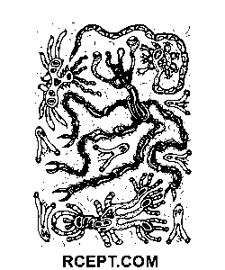 Psychedelisch zur Entspannung Ausmalbild