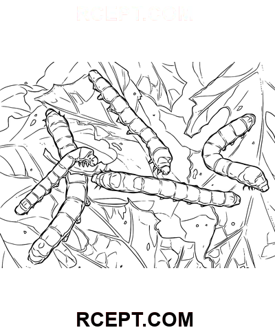 Entzückende Raupe Ausmalbild