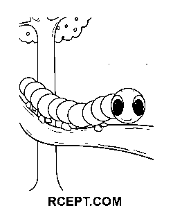Schöne Raupe Ausmalbild