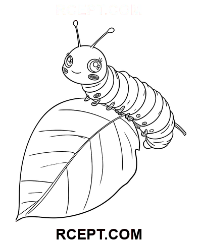 Großäugige Raupe Ausmalbild