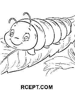 Mollige Raupe Ausmalbild