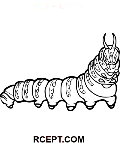 Ausgezeichnete süße Raupe Ausmalbild