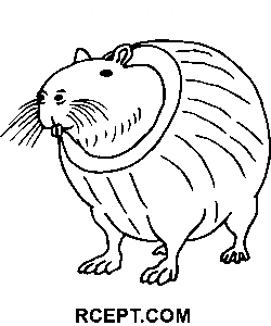 Italian Brainrot Burbaloni Lulilolli coloring page