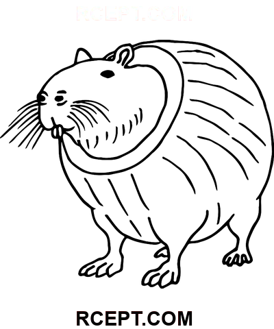 Italian Brainrot Burbaloni Lulilolli coloring page