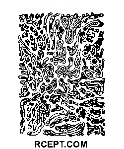 Vector de ornamento psicodélico dibujo para colorear
