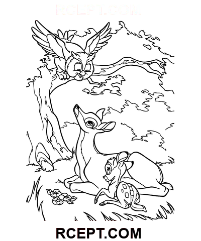 Il gufo ha portato buone notizie disegno da colorare