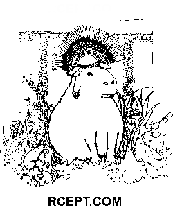 Bel capibara disegno da colorare