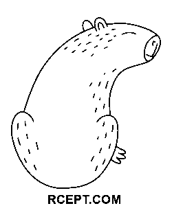 Simpatico schizzo di capibara disegno da colorare