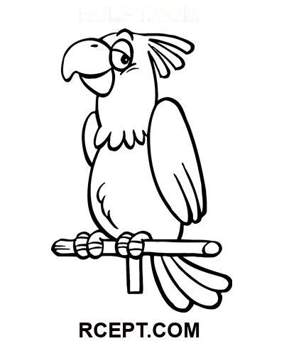 Disegno del pappagallo dei cartoni animati disegno da colorare