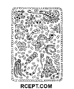 Eccellente ornamento psichedelico disegno da colorare