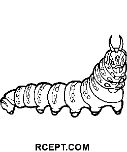 Eccellente bruco carino disegno da colorare