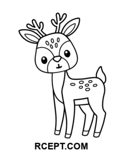 Sjove skovhjorte farvelægning side