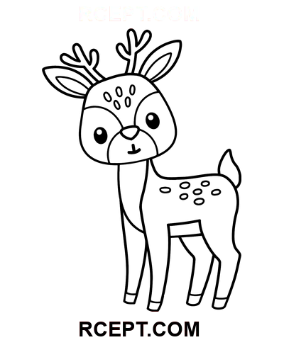 Sjove skovhjorte farvelægning side