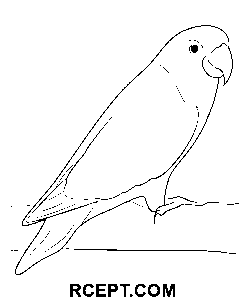 Fuglekærlighed farvelægning side