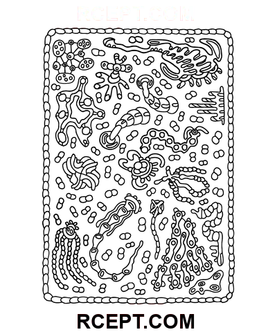 Fremragende psykedelisk ornament farvelægning side