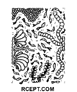 Psykedelisk for åndelig ro farvelægning side