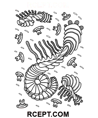 psykedelisk, ornament Clipart-tegning farvelægning side