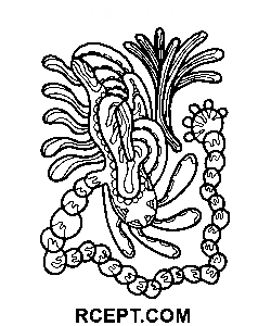 Psykedelisk ornament let at tegne farvelægning side