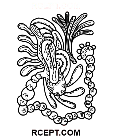 Psykedelisk ornament let at tegne farvelægning side
