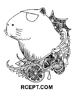 Capibara Mandala kleurplaat
