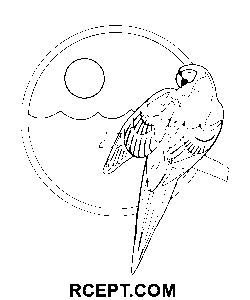 Line Art Papegaai kleurplaat