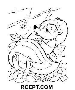 Dobranoc Skunk kolorowanka