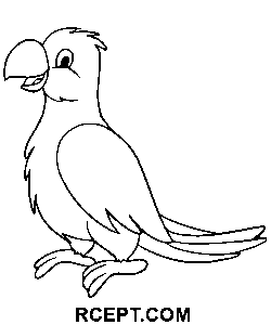 Tecknad film, papegoja, konst målarbok