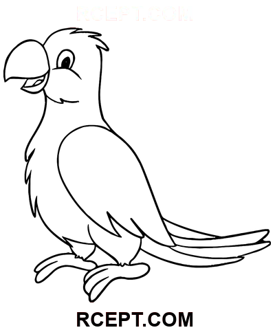 Tecknad film, papegoja, konst målarbok