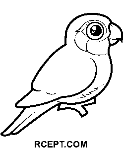 Tecknad filmpapegoja målarbok