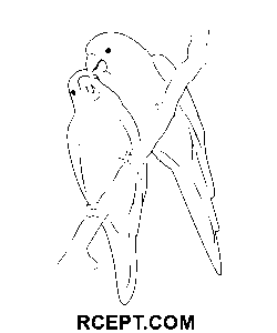 Gula turturduvor målarbok